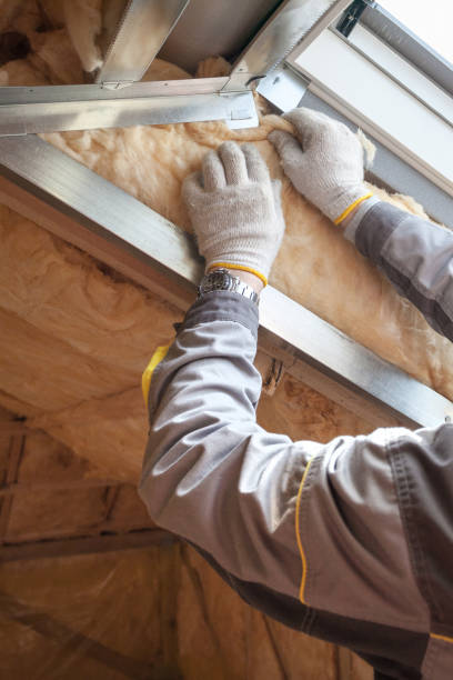 Insulation Air Sealing in Dade City, FL